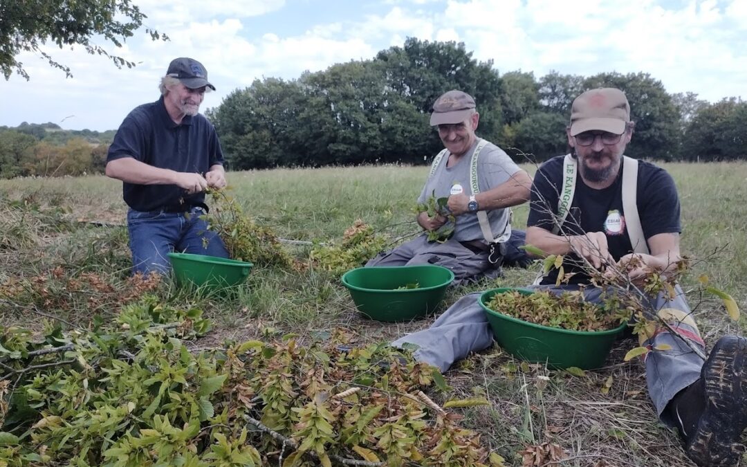 L’ESIAM, une entreprise solidaire