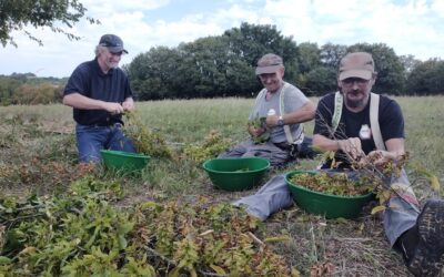 L’ESIAM, une entreprise solidaire